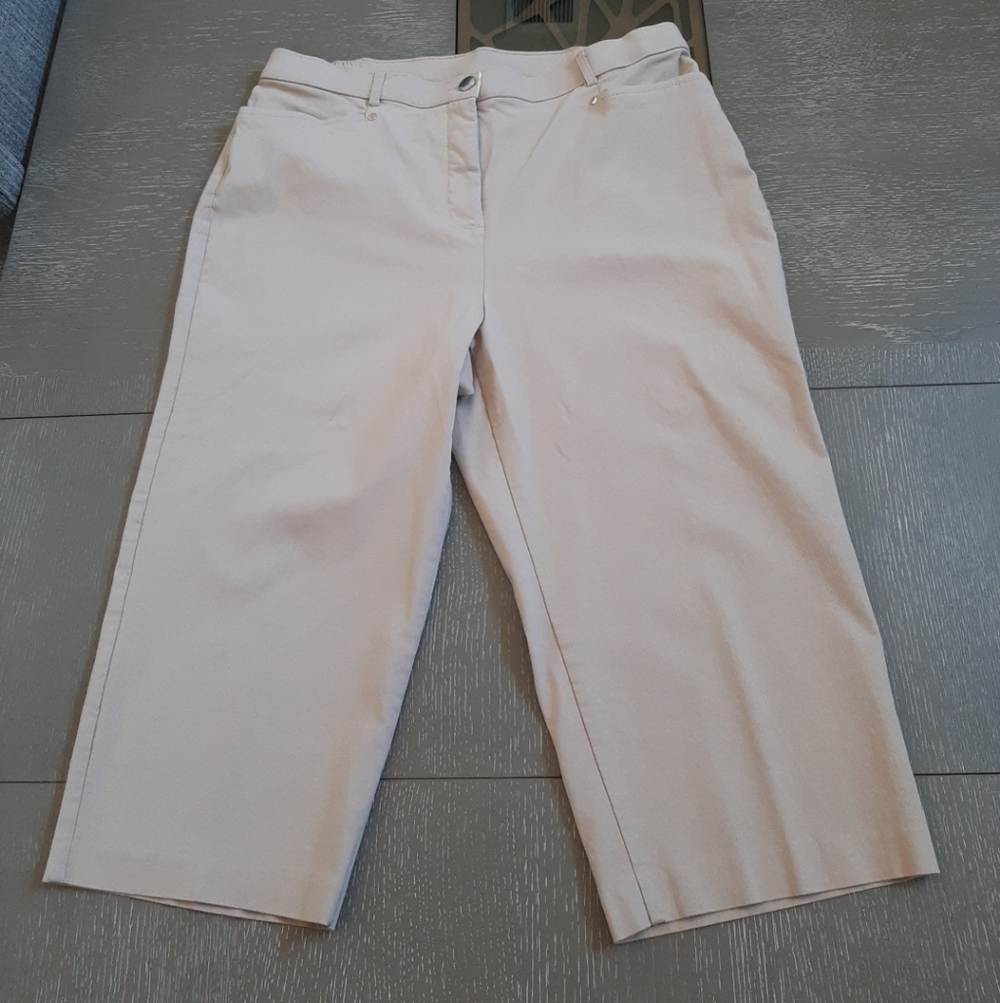 Allison Daley Light Beige Cropped Pants
